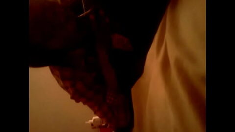 Blowjob amateur