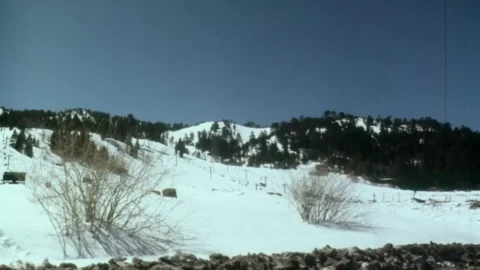 Snow Honeys – 4K Restoration