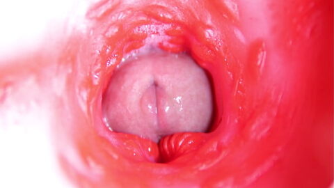 CAMERA INSIDE PUSSY: ALMOST CUM IN PUSSY! BEST Internal ASMR in 4K