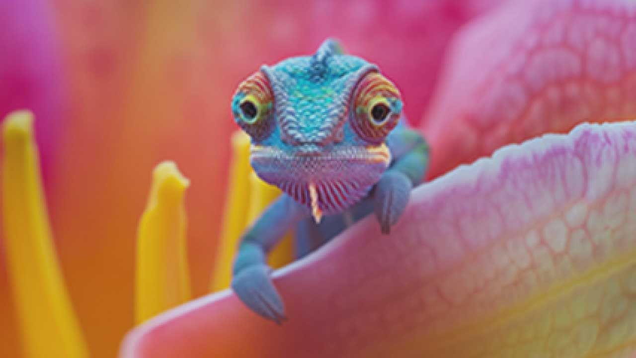 Test Video Post