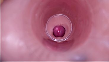Female Insemination – Internal Camera Captures Deep Male Ejaculation