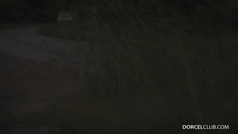A Detour in the Countryside