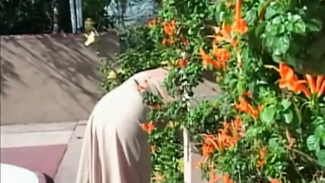 Huge boobs blonde milf fucking licking big cock sucking in the garden