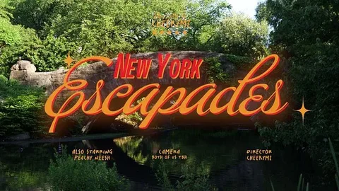 SEXY NEW YORK VLOG ft. Peachyneesh