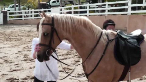 Two Beautiful Teens Get It Going in a Stable