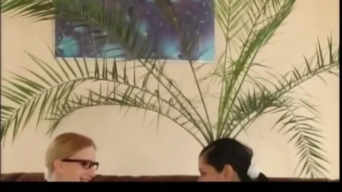 Pregnant Lesbians
