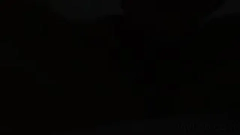 Elegant Asian Woman Gives Intimate Pleasure