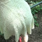 My Slave Used In The Park